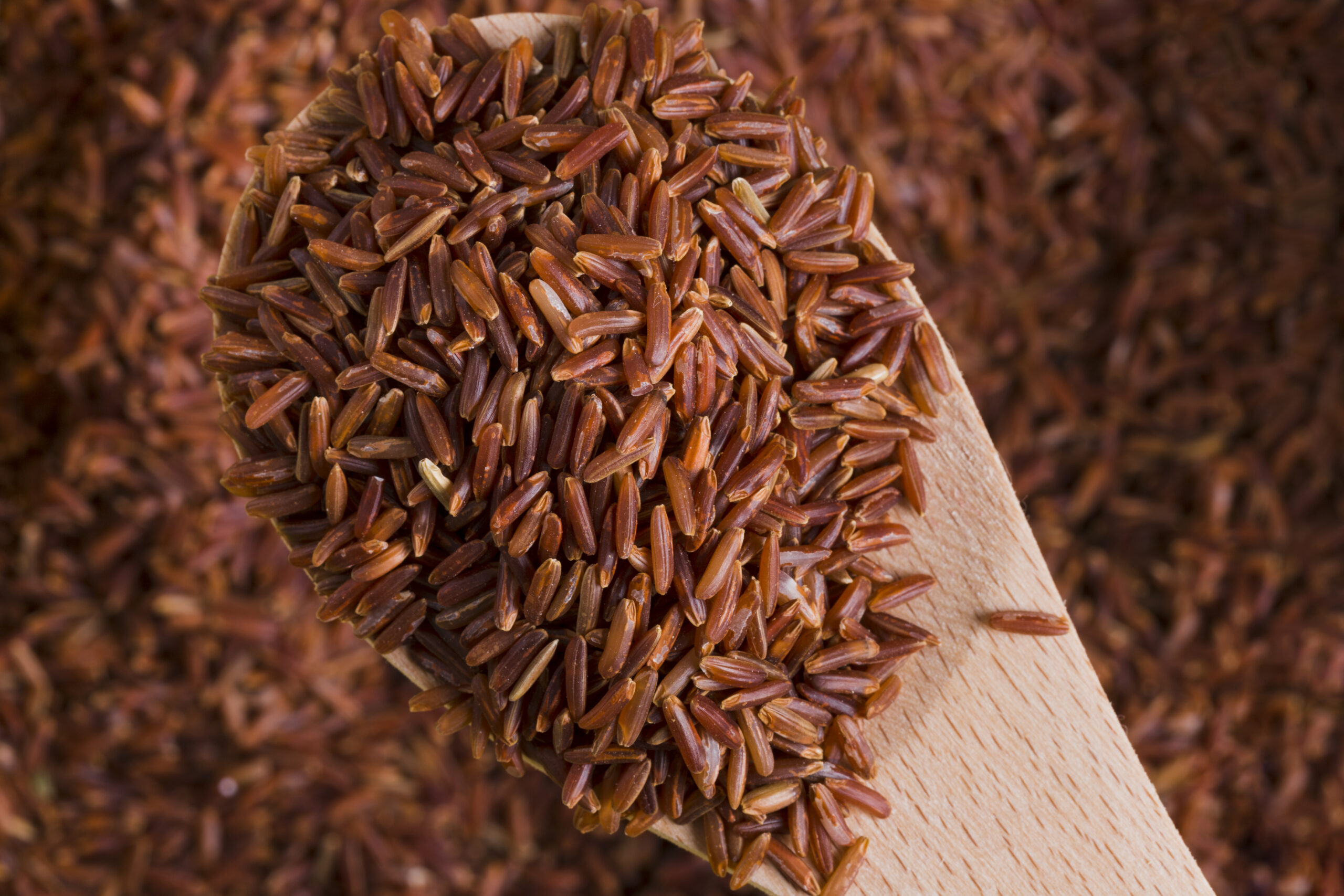 Red Rice & Coconut Oil – Sri Lanka’s Superfoods for Healing & Longevity