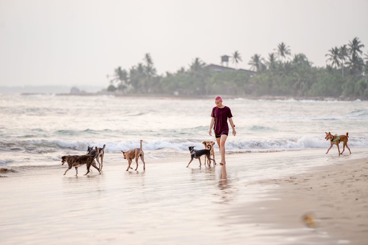 Girl walking in the beach of Sri Lanka