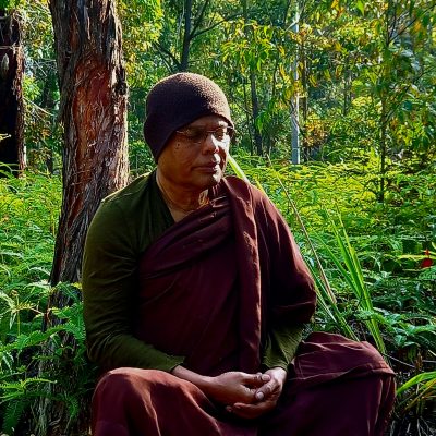 Madawala Upali Thero in Meditation