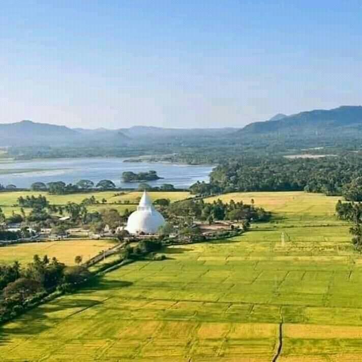 Paddy Fields, Thissamaharamaya Dagoba & Thissa Wewa in One Frame