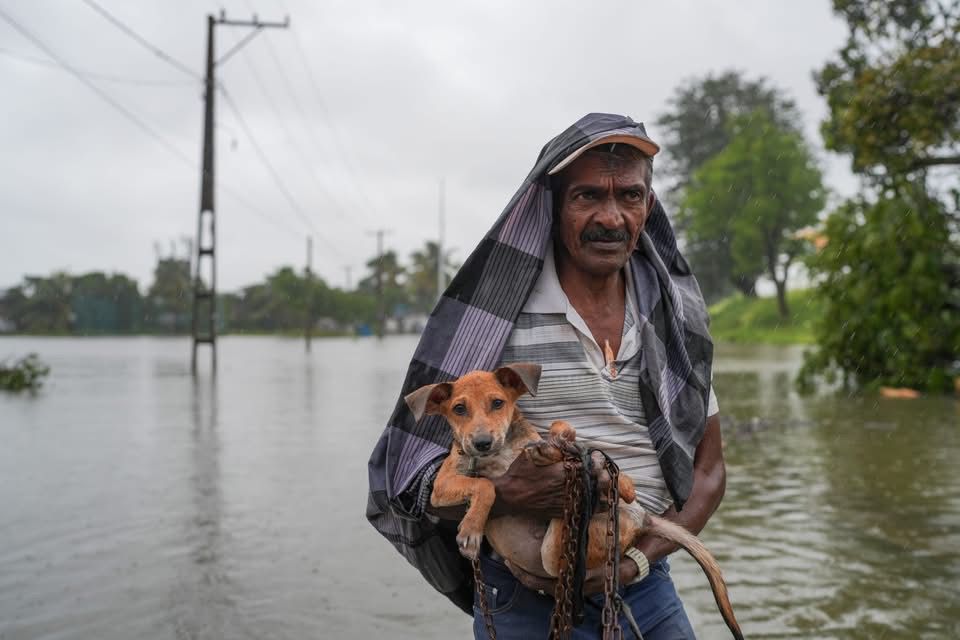 Man rescued a pet dog from the flood