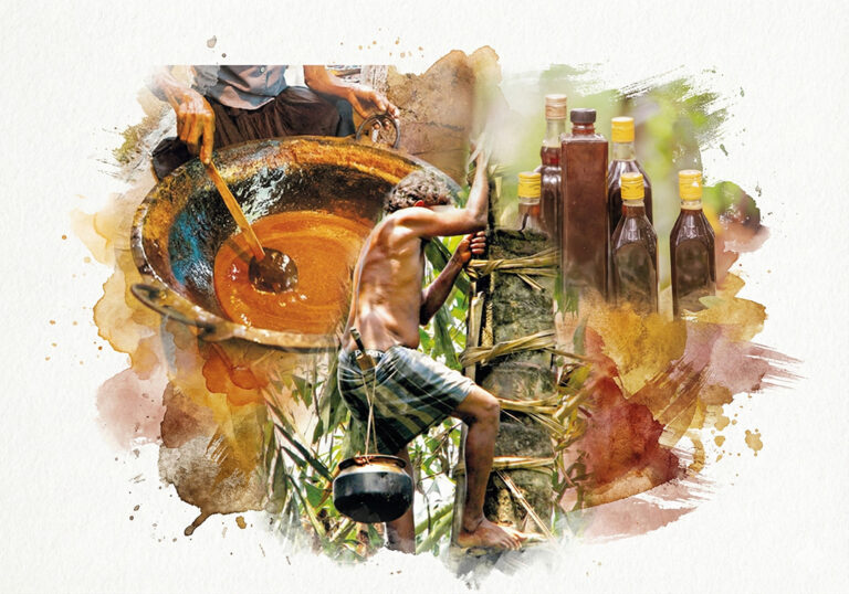 Sri Lanka Kithul Tapping UNESCO article cover image