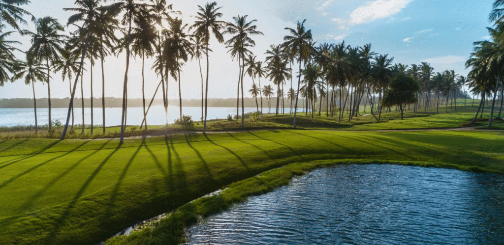 The course winds through a vast coconut palm plantation