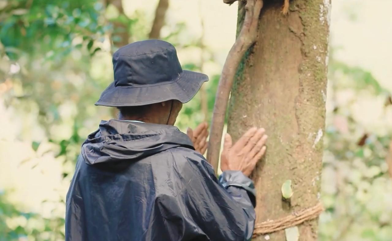 Worshiping the tree before climbing