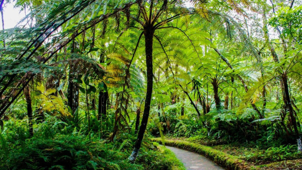 Hakgala Botanical Gardens Location