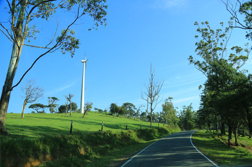 Peaceful Road in Ambewela Nuwara Eliya